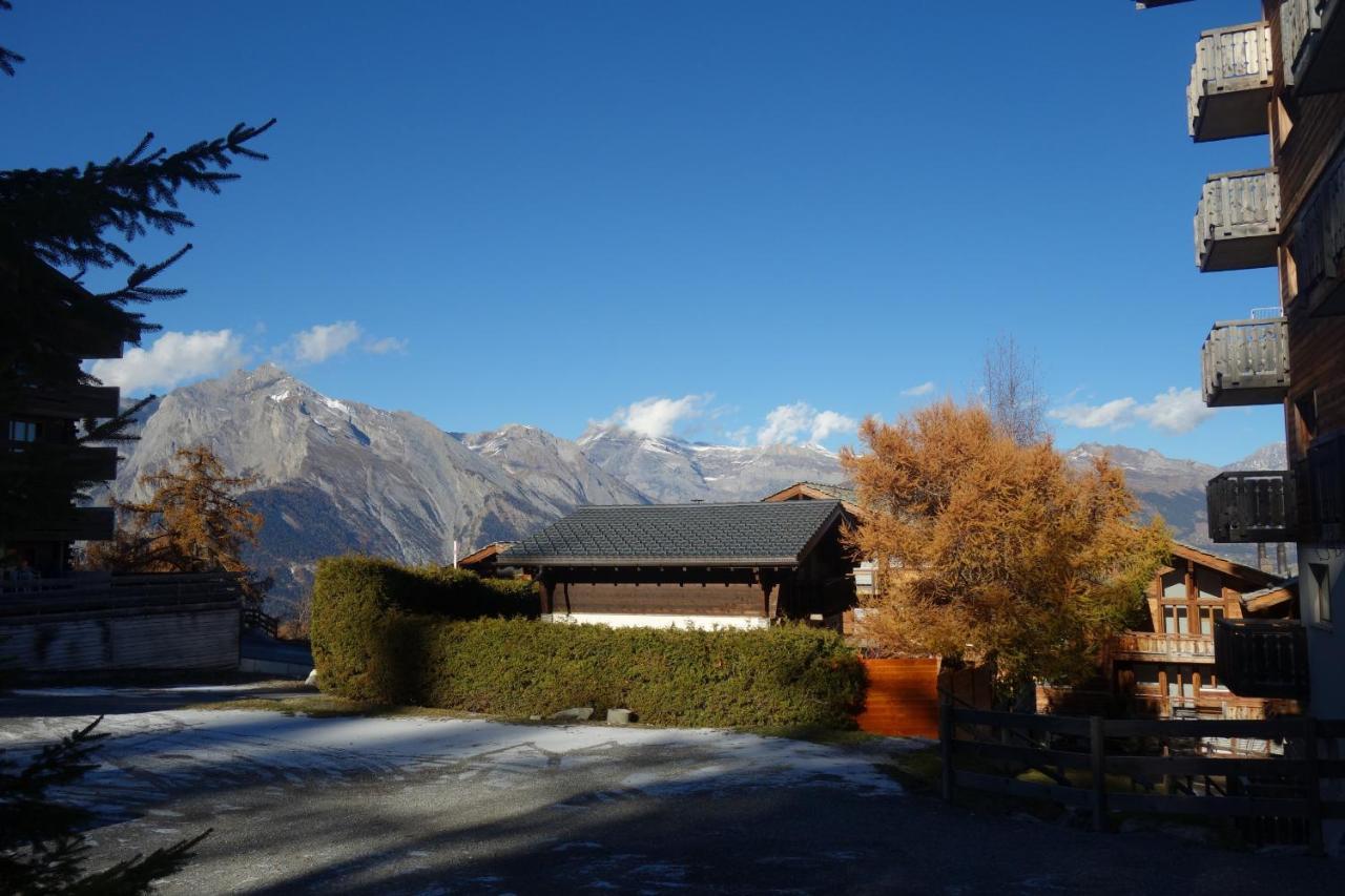 Pracondu OUTDOOR&FUN appartement 2 chambres supérieur avec Balcon Nendaz Extérieur photo