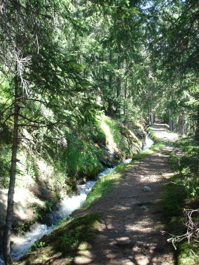 Pracondu OUTDOOR&FUN appartement 2 chambres supérieur avec Balcon Nendaz Extérieur photo