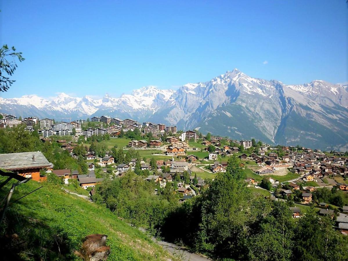 Pracondu OUTDOOR&FUN appartement 2 chambres supérieur avec Balcon Nendaz Extérieur photo