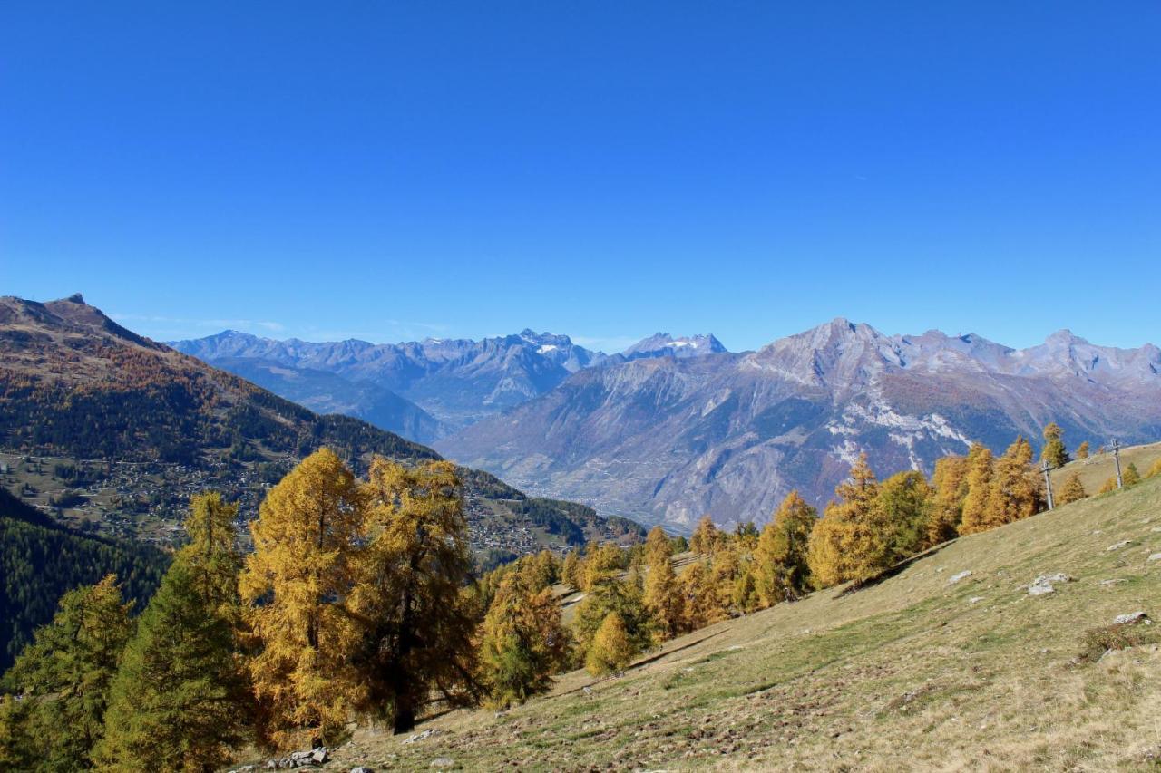 Pracondu OUTDOOR&FUN appartement 2 chambres supérieur avec Balcon Nendaz Extérieur photo